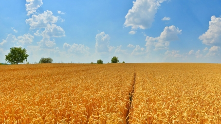 Ринок землі