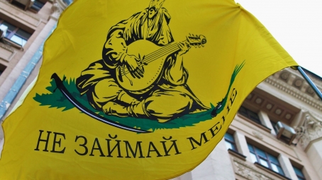 Демократична Сокира вважає законопроект Бородянського в цілому порушенням Конституції і спробою узурпації влади.