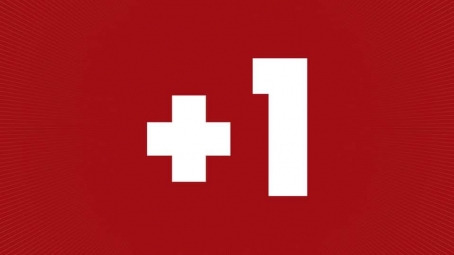 Резултати голосування ДемСокири